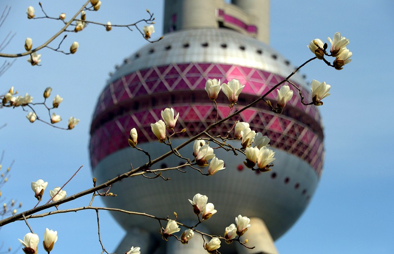 Municipal flower Shanghai.jpg