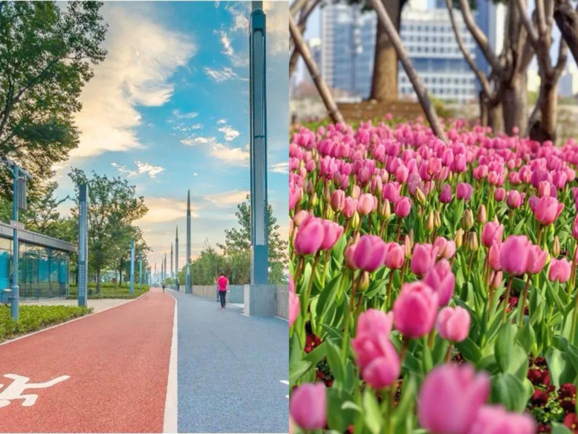 Drei atemberaubende Fahrradrouten für Frühlingstouren in Shanghai