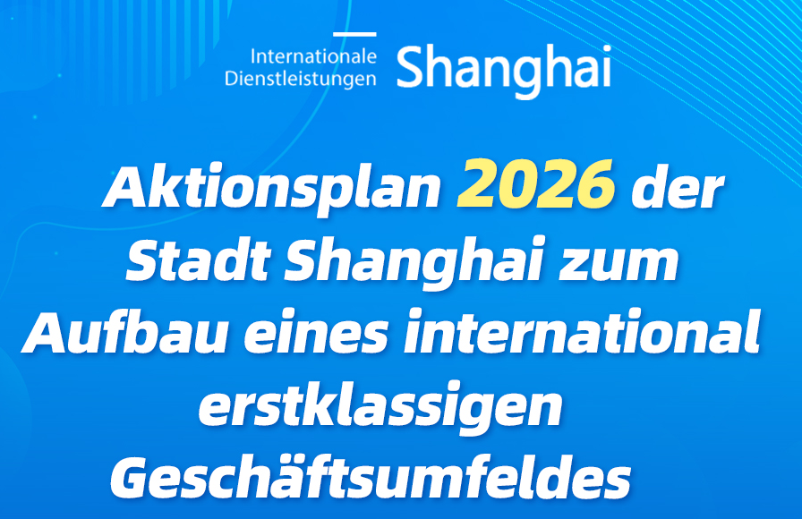 Infografik: Aktionsplan 2026 zum Aufbau eines international ausgerichteten Geschäftsumfeldes