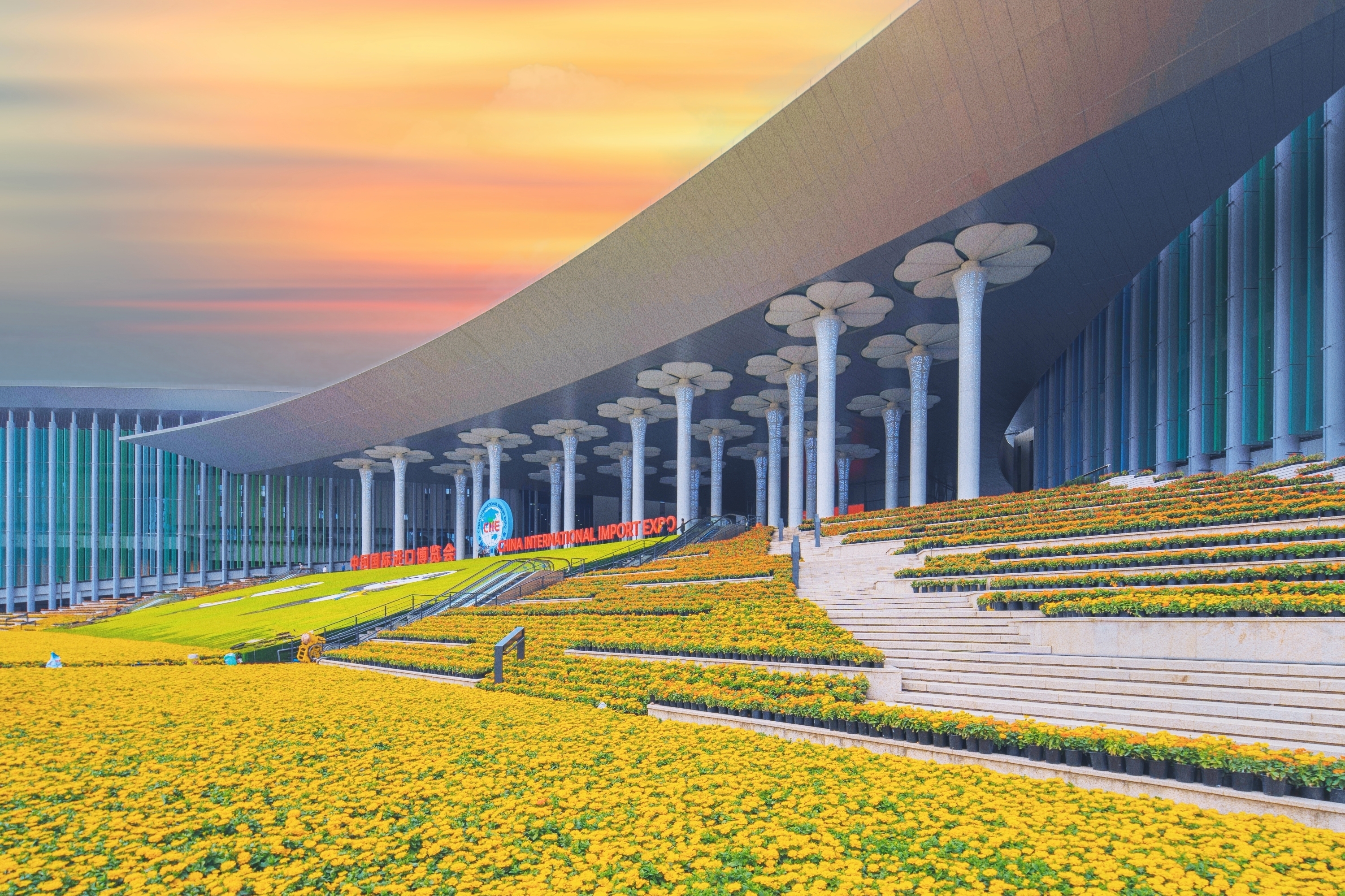 8. China International Import Expo: Immer offenere Türen, mehr Entwicklungschancen