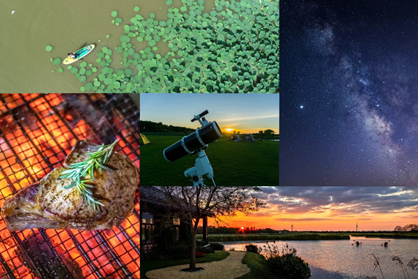 Der Sommer im Dongtan-Wetland-Park bietet Natur und Nervenkitzel