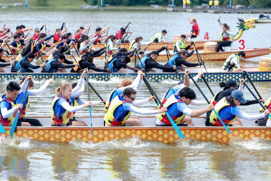 Drachenbootrennen in Shanghai fördert den kulturellen Austausch zwischen internationalen Studierenden