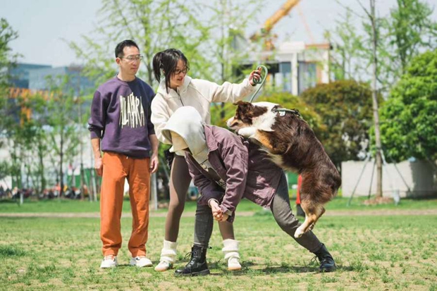 Therapy dogs 3.jpg