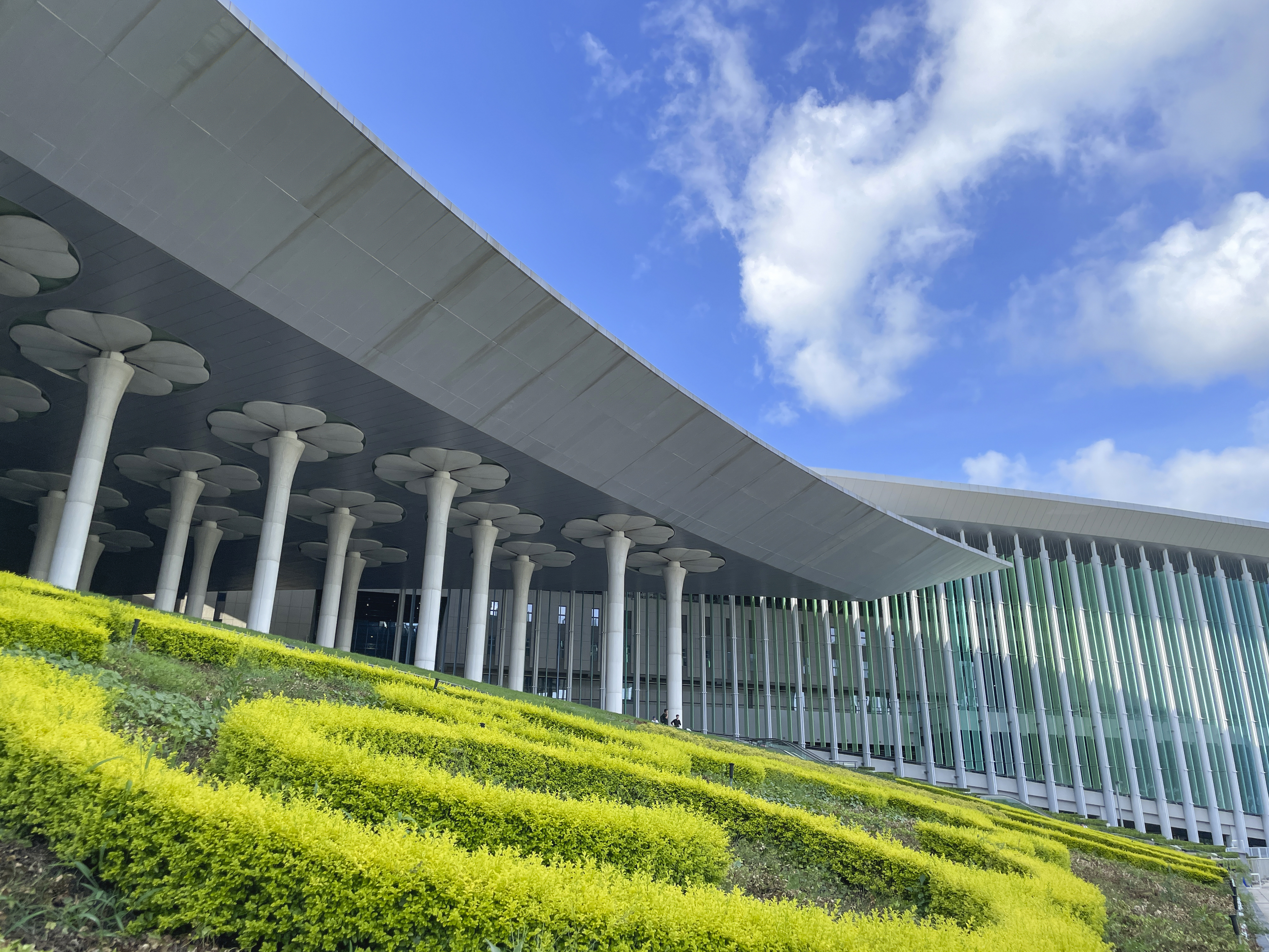 Offenes und sich entwickelndes China – Chancen und Vertrauen für die Welt