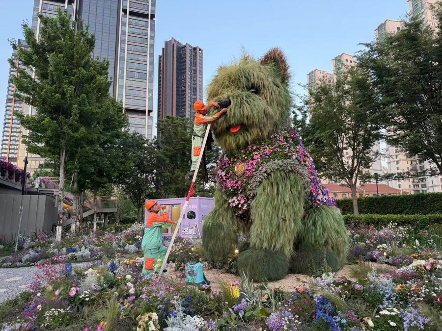 图片6.png