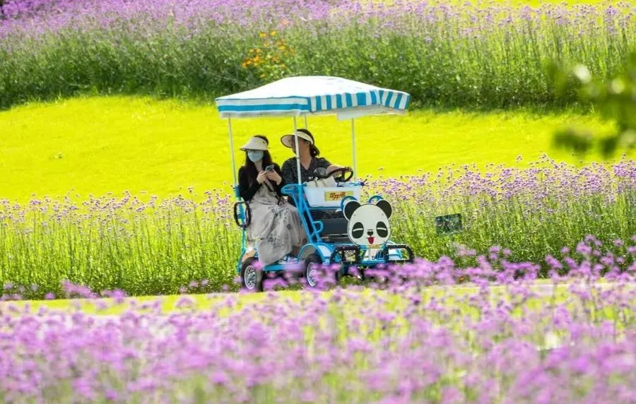 Neu renovierter Ökopark als ergänzendes Angebot für das Legoland Shanghai Resort