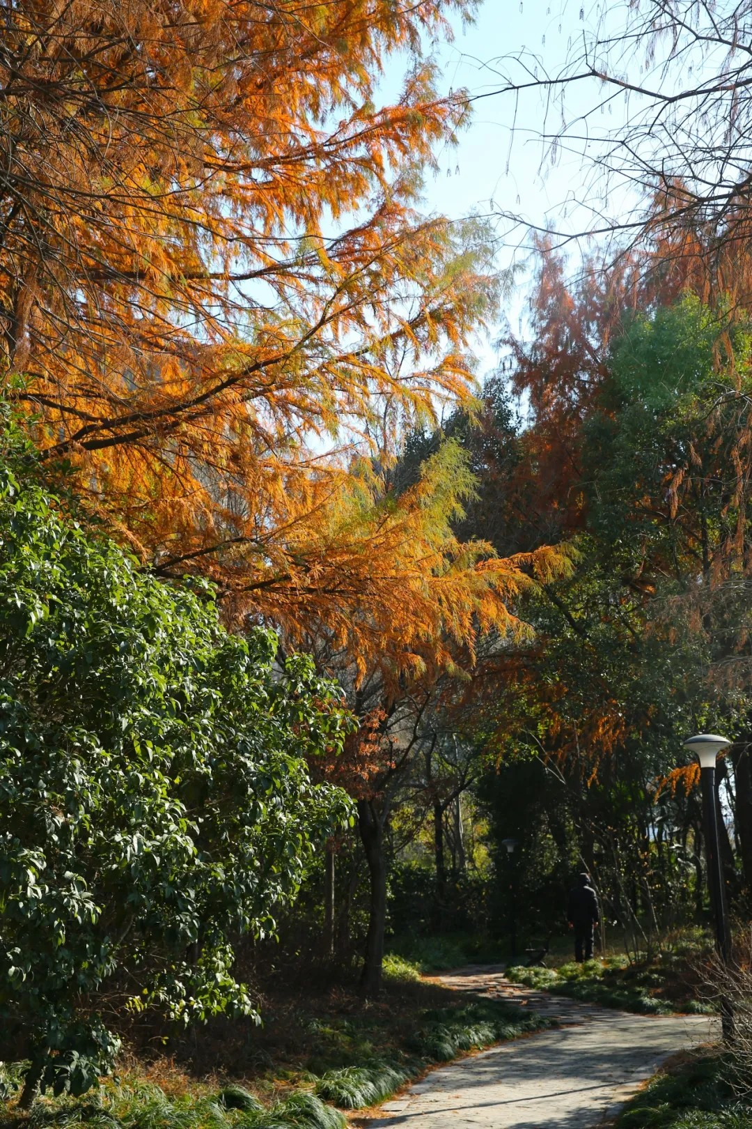 Fünf Wanderrouten für den frühen Frühling in Shanghai