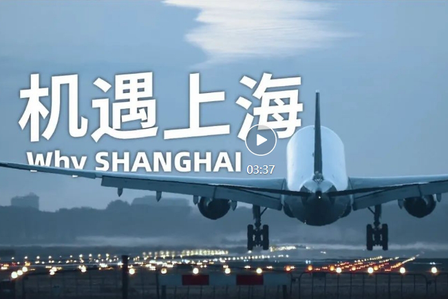 Entdecken Sie die Finanzkraft Shanghais im Kurzfilm „Warum Shanghai“