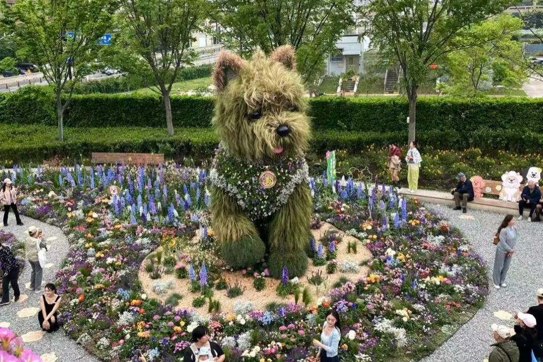 Shanghai sucht Namen für riesige Blumenwelpe