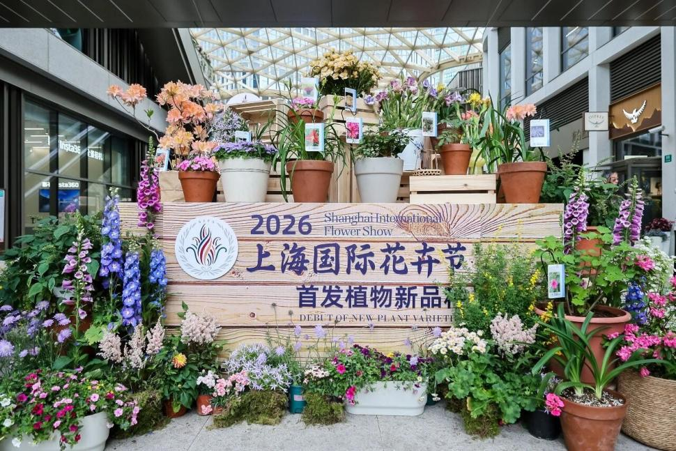 Blumenausstellung in Shanghai blüht mit 29,5 Millionen Besuchenden auf