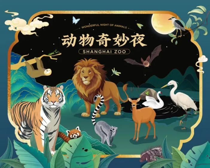 图片12.png