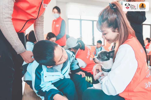 Therapy dogs 2.jpg