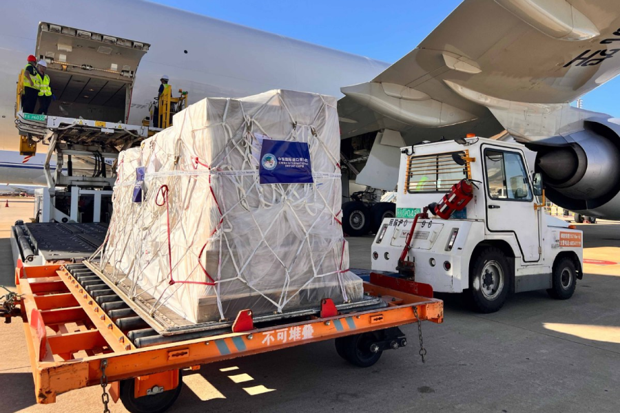 Die erste Reihe von Ausstellungsstücken für die 8. CIIE trifft in Shanghai ein