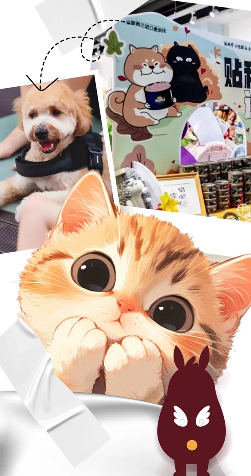 Grafik2.png