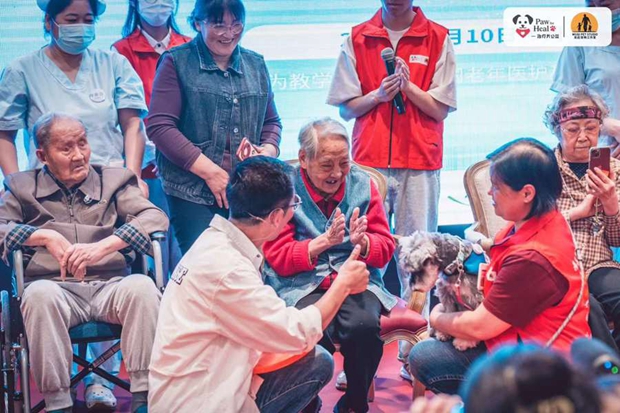 Therapy dogs 1.jpg
